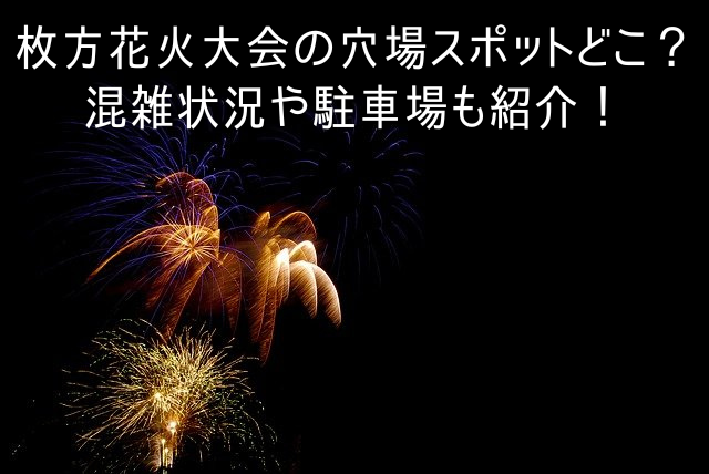 枚方花火大会の穴場スポットどこ 混雑状況や駐車場も紹介 Enjoy